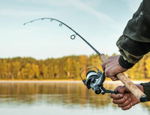 What Are the Best States for Freshwater Fishing?