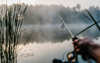 10 Essential Tips for Successful Freshwater Fishing