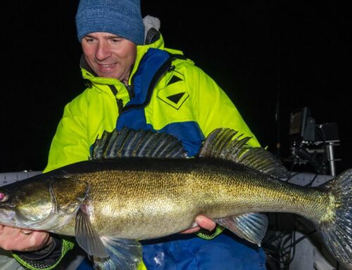 5 Reasons You Should Try Going Night Fishing